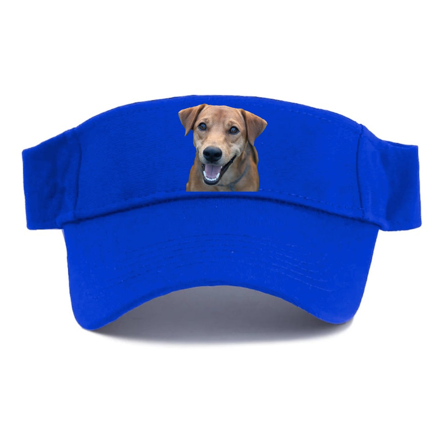Labrador Hat