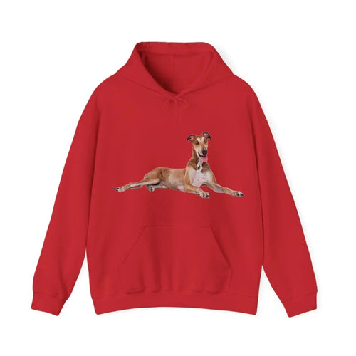 Greyhound Hooded Sweatshirt