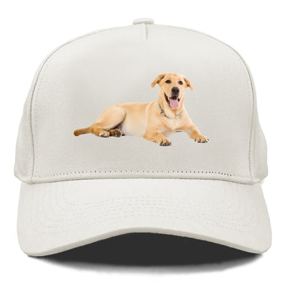 Labrador laying down Hat