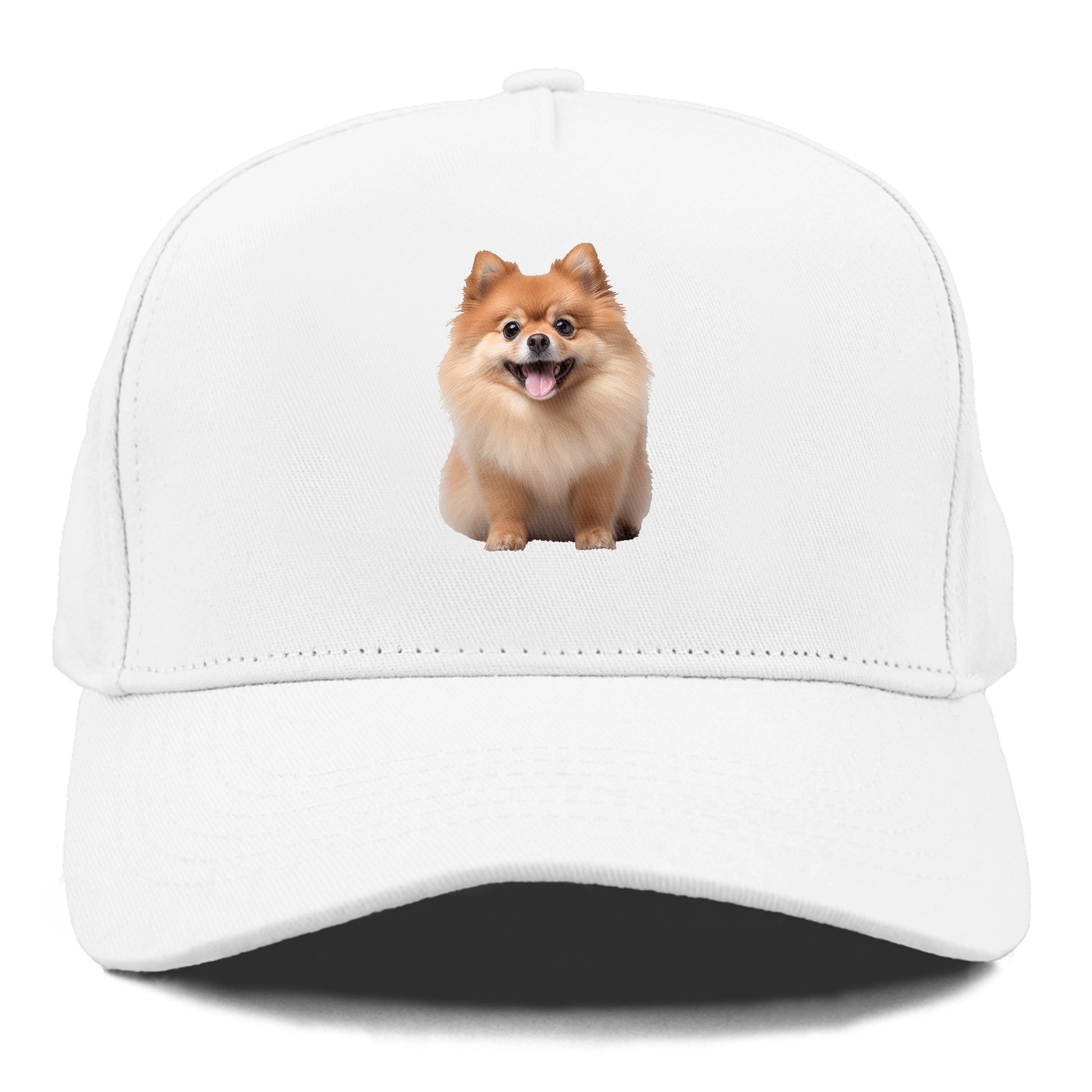 Delighted Pomeranian  Hat