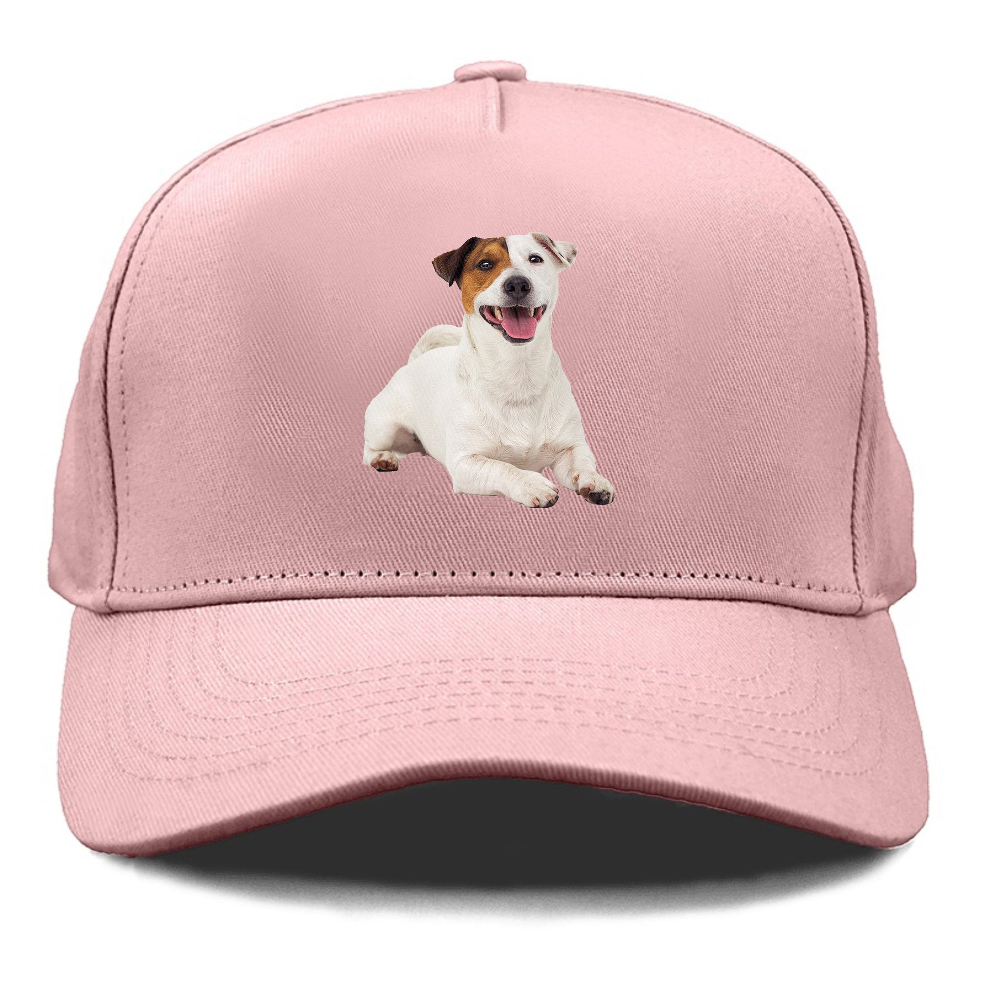 jack russell terrier dog Hat