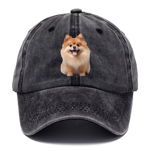 Delighted Pomeranian  Hat