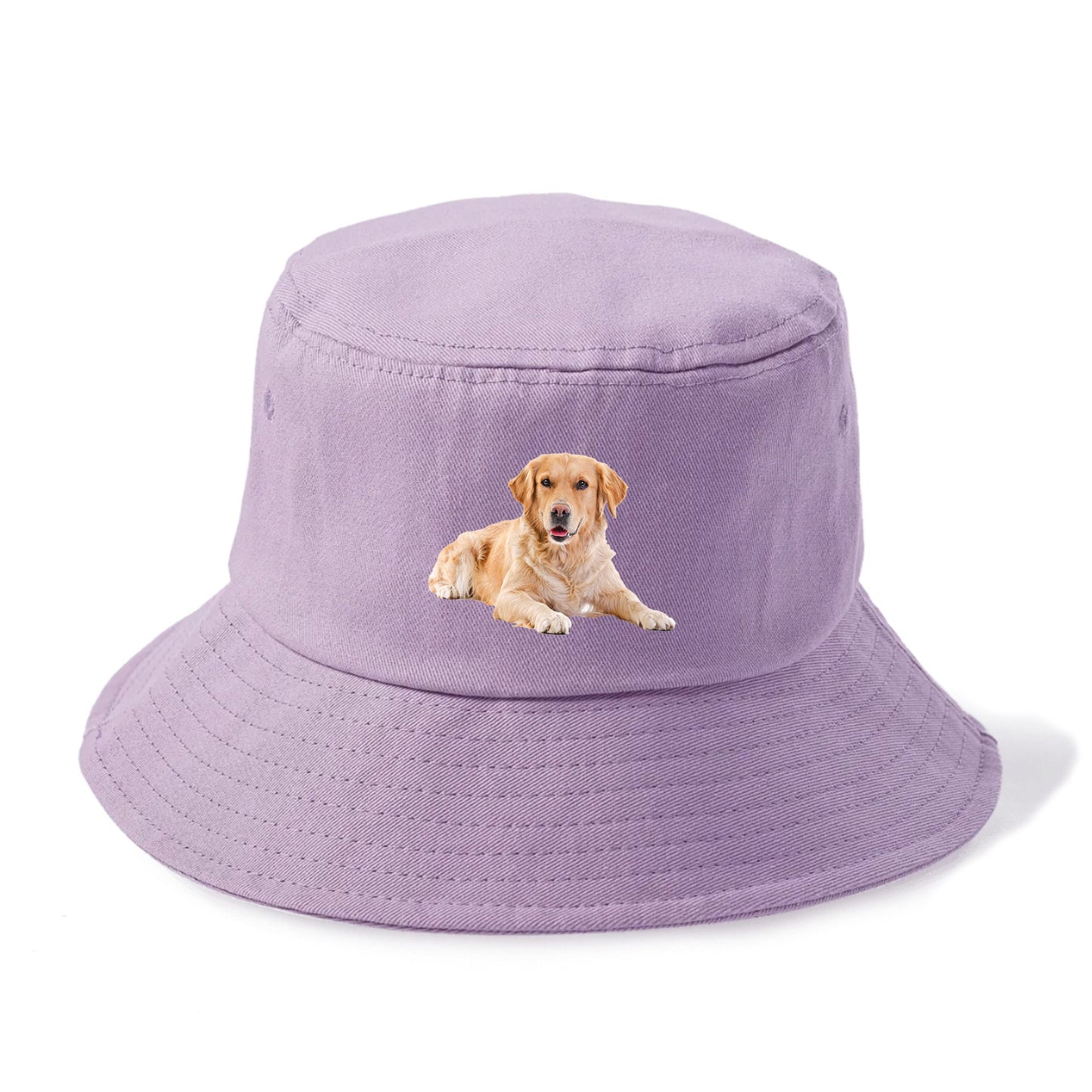 Golden Retriever laying dow Hat