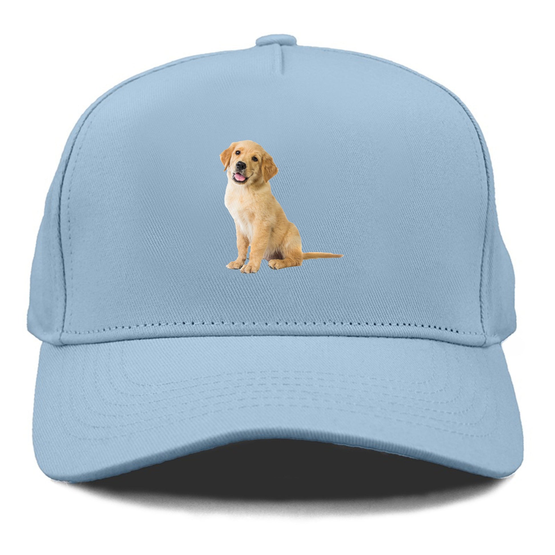 Playful golden pup with a cheerful expression Hat