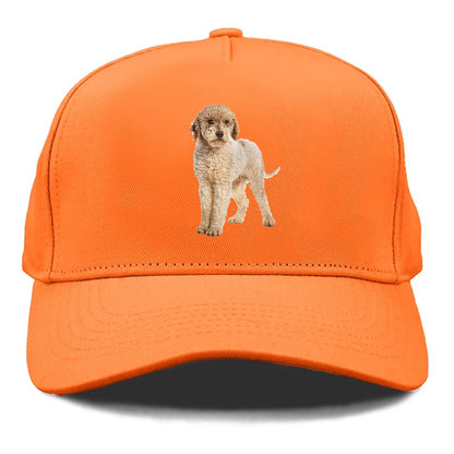 Lagotto Romagnolo Hat