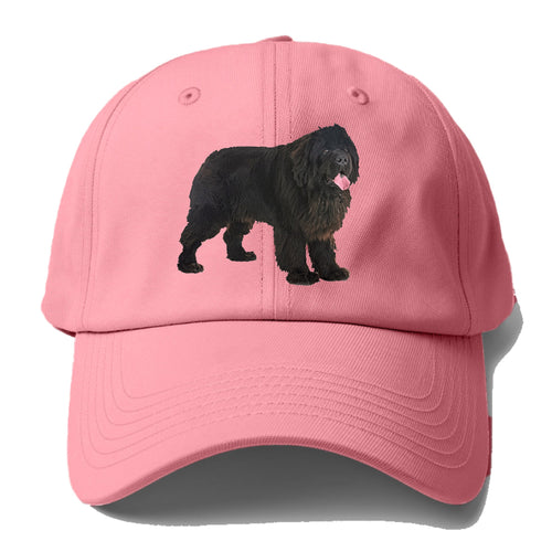 Newfoundland Baseball Cap For Big Heads