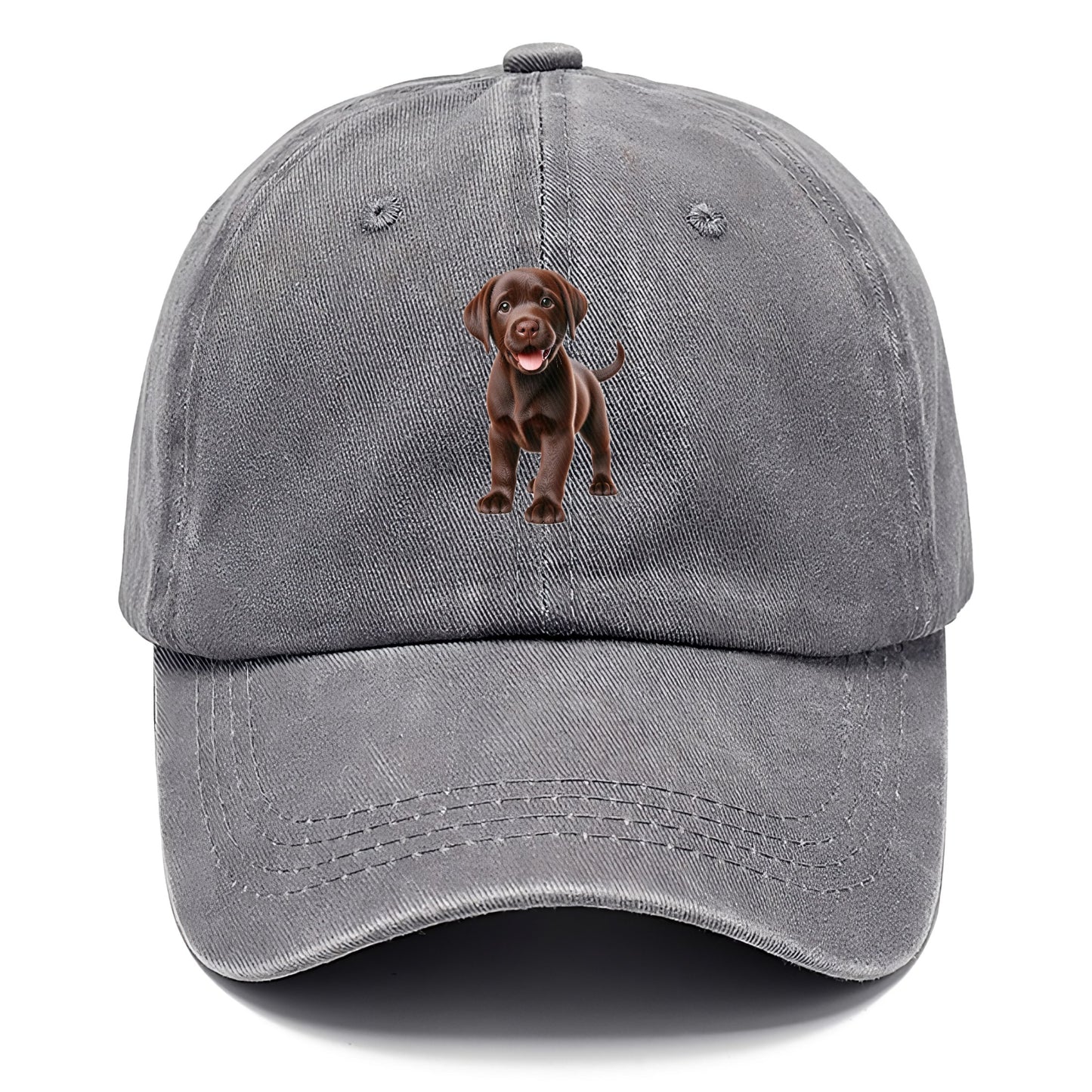 chocolate labrador Hat