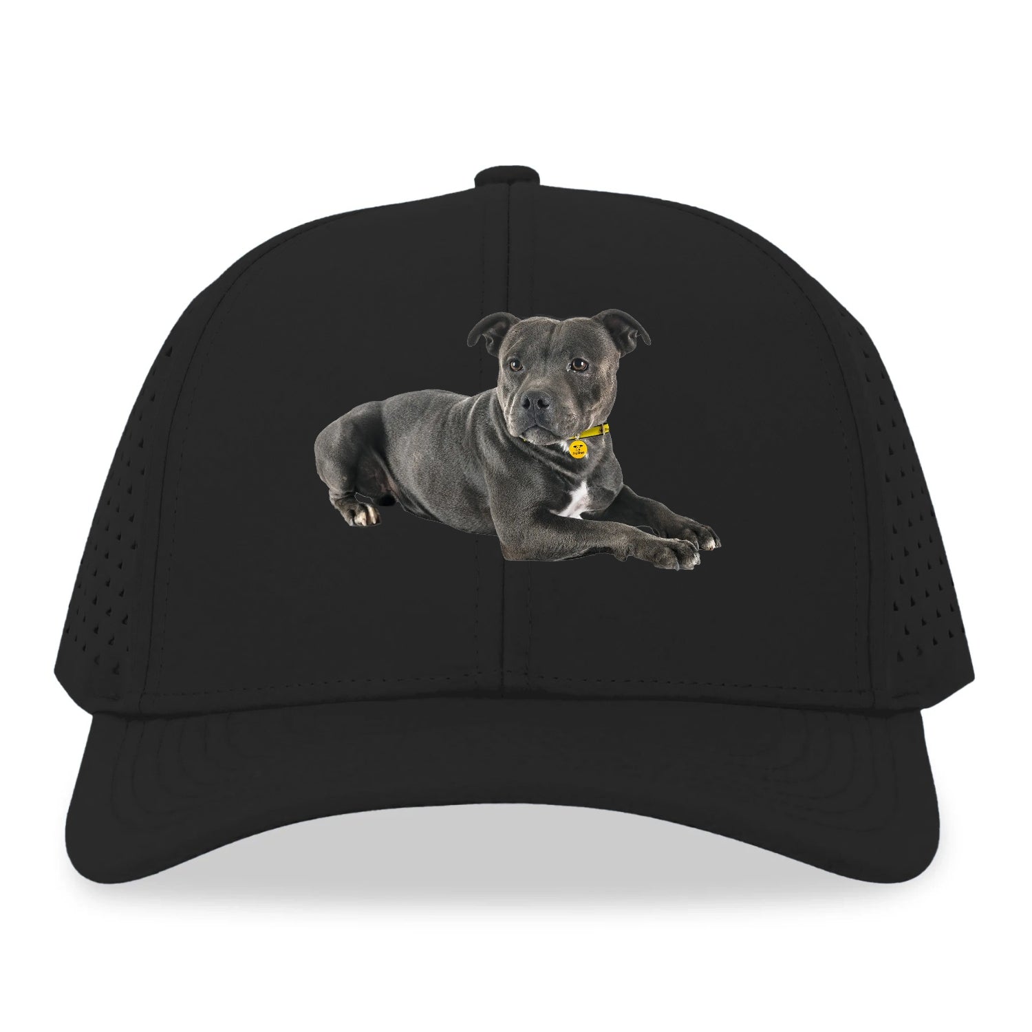 Staffordshire Bull Terrier Hat