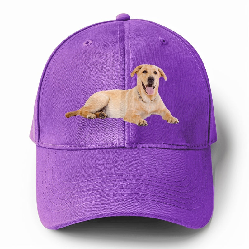 Labrador laying down Hat