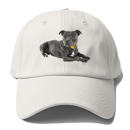 Staffordshire Bull Terrier Hat