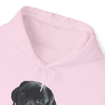 Black Labradors Hooded Sweatshirt