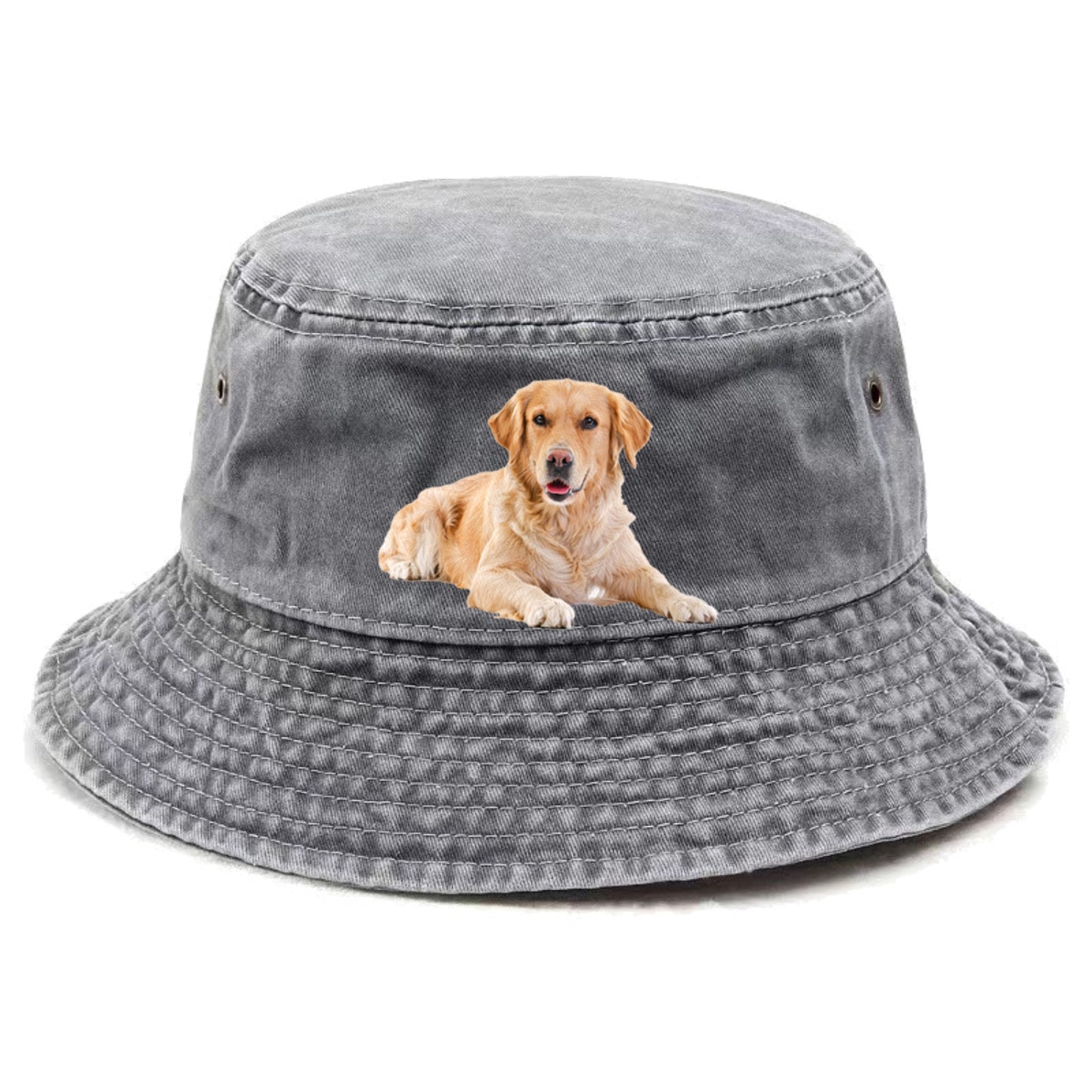 Golden Retriever Hat