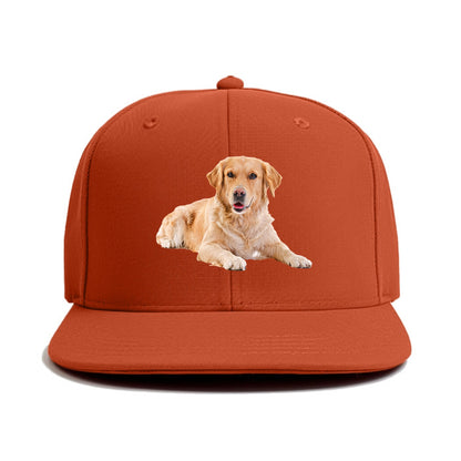 Golden Retriever laying down Hat