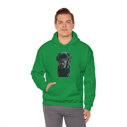 Black Labradors Hooded Sweatshirt