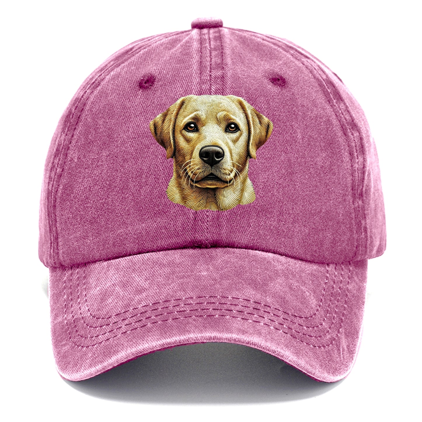 Labrador Retriever_ Hat