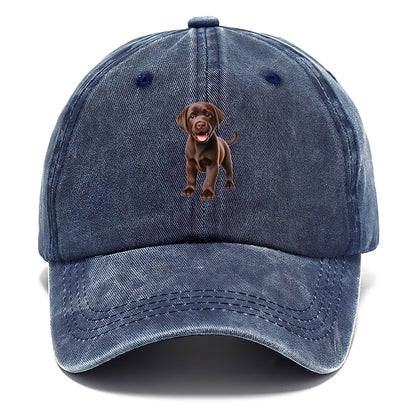 chocolate labrador Hat