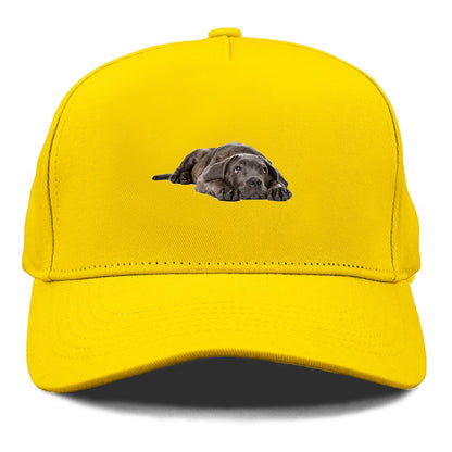 cane corso Hat