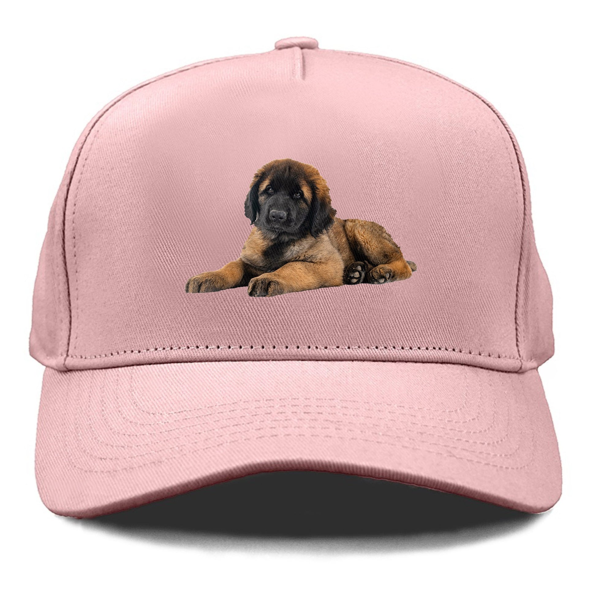 Leonberger Hat