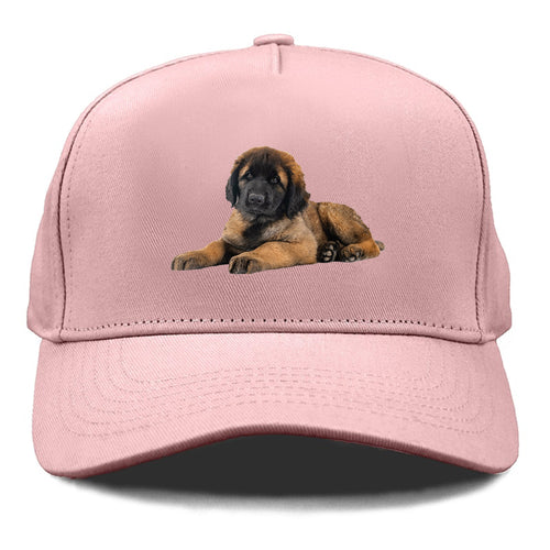 Leonberger Cap