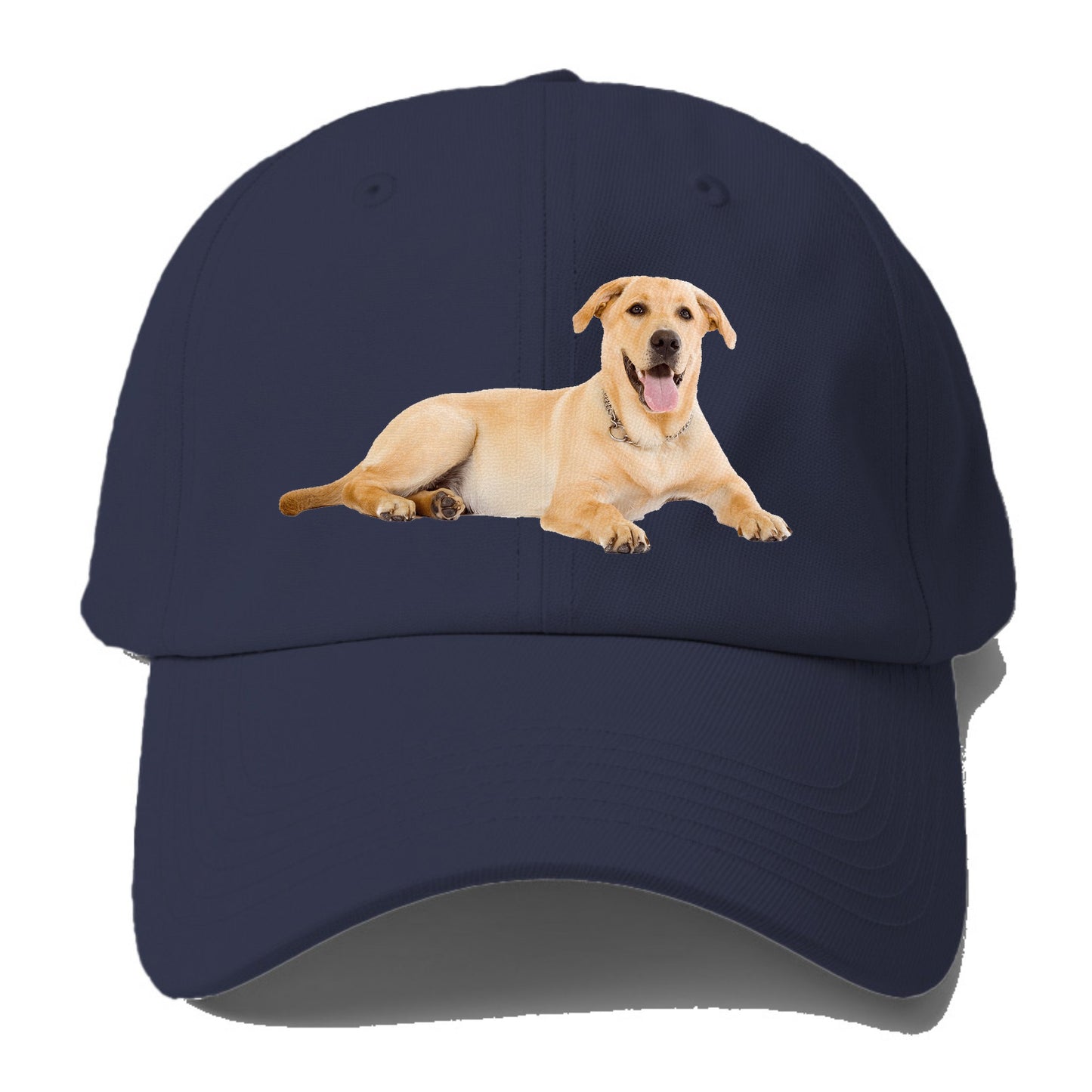 Labrador laying down Hat