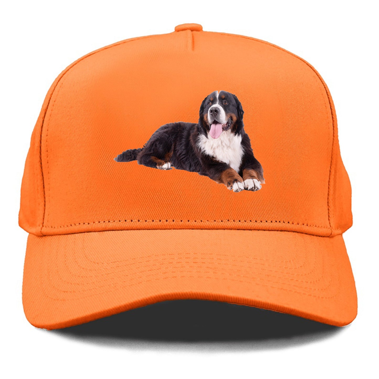 bernese mountain dog Hat