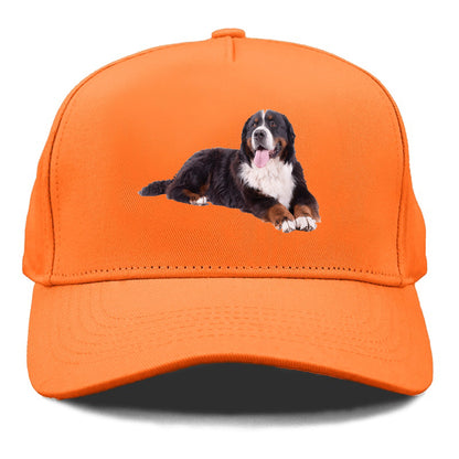 bernese mountain dog Hat