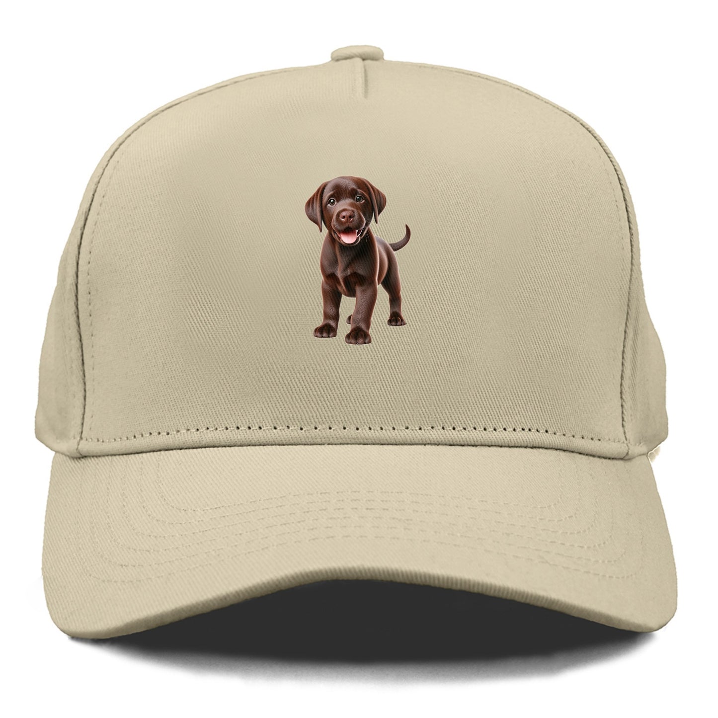 chocolate labrador Hat