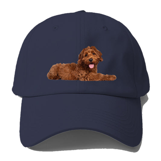 Labradoodle laying down Hat