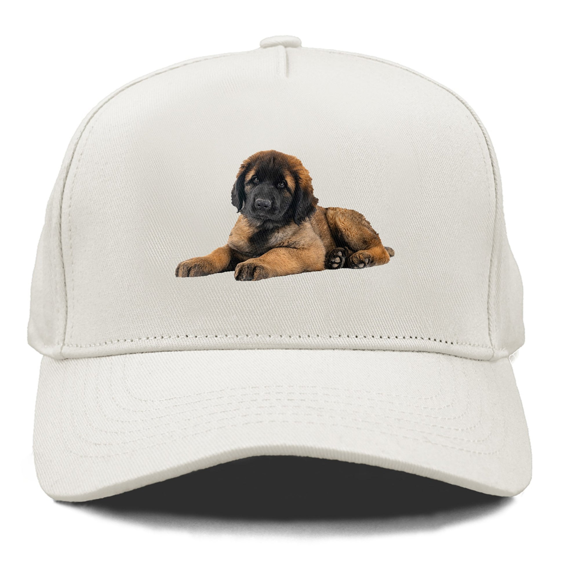 Leonberger Hat