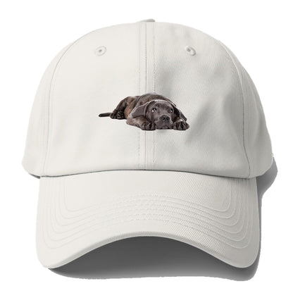 cane corso Hat