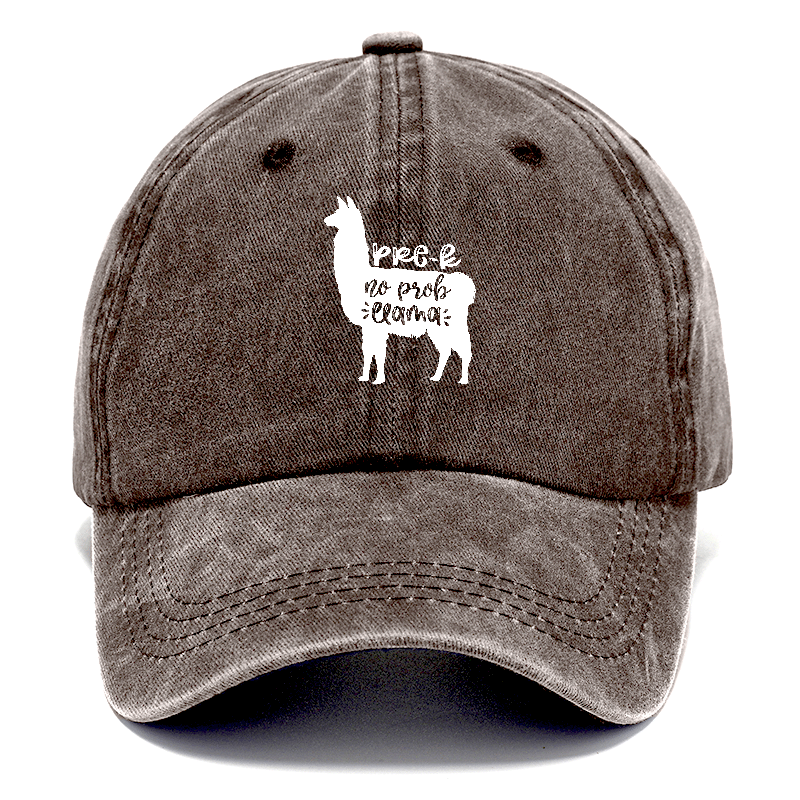 Prek no prob llama Hat