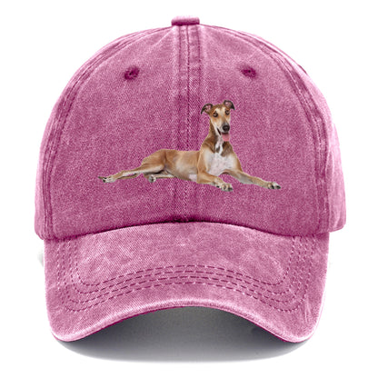 Greyhound Hat