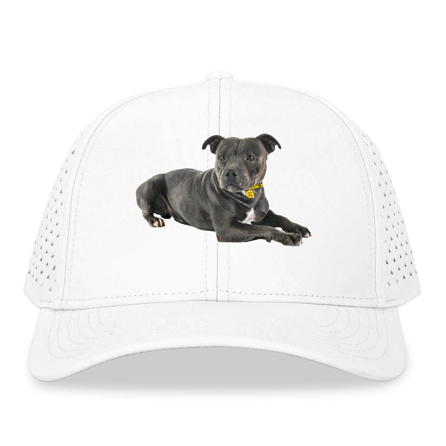 Staffordshire Bull Terrier Hat