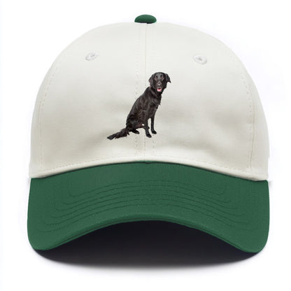 FlatCoated Retriever Hat