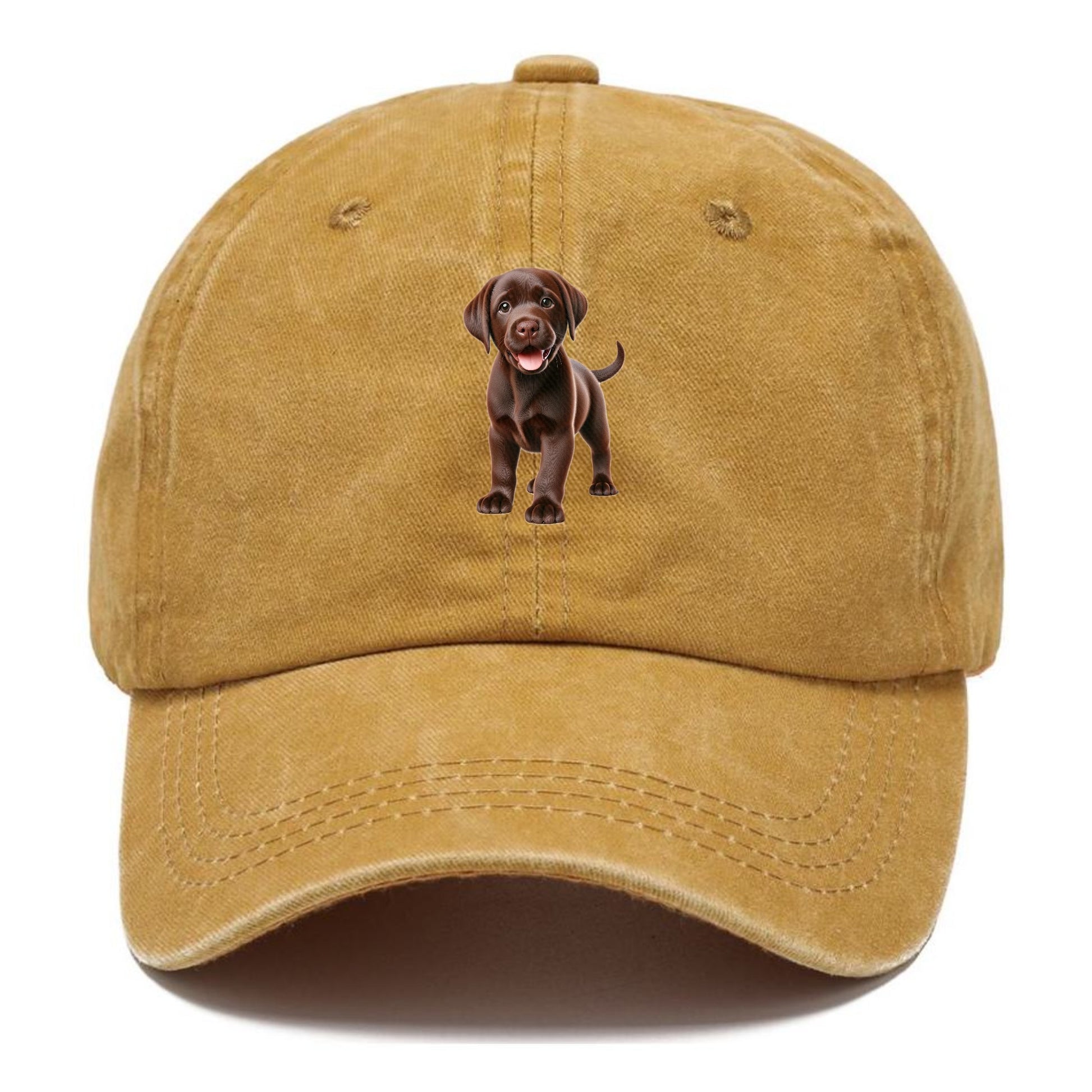 chocolate labrador Hat