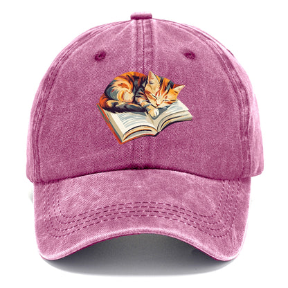 Cat Nap on Book Hat