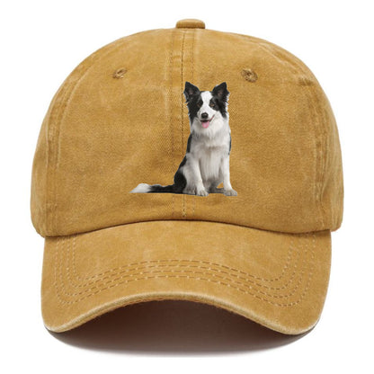 Border Collie Hat