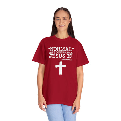 Sacred Verse T-Shirt: Jesus Is Here, Normal Isn't Coming Back - Pandaize