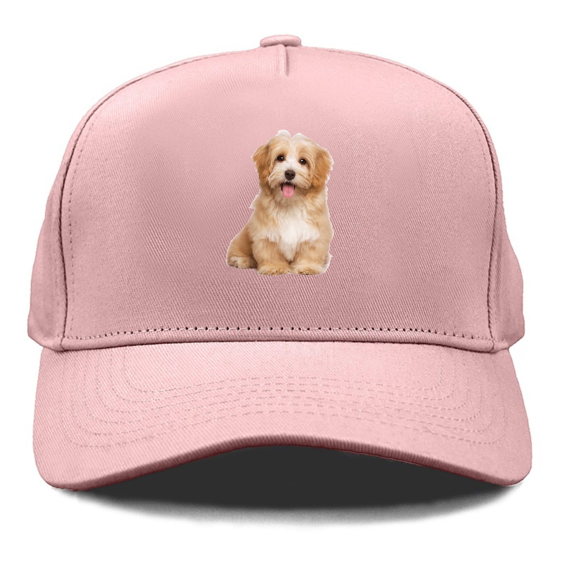 Adorable Shih Tzu Hat