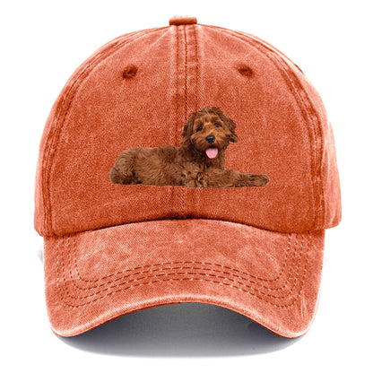 Labradoodle laying down Hat