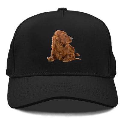 Irish Setter Hat