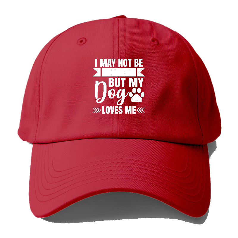 I may not be perfect but my dog loves me Hat