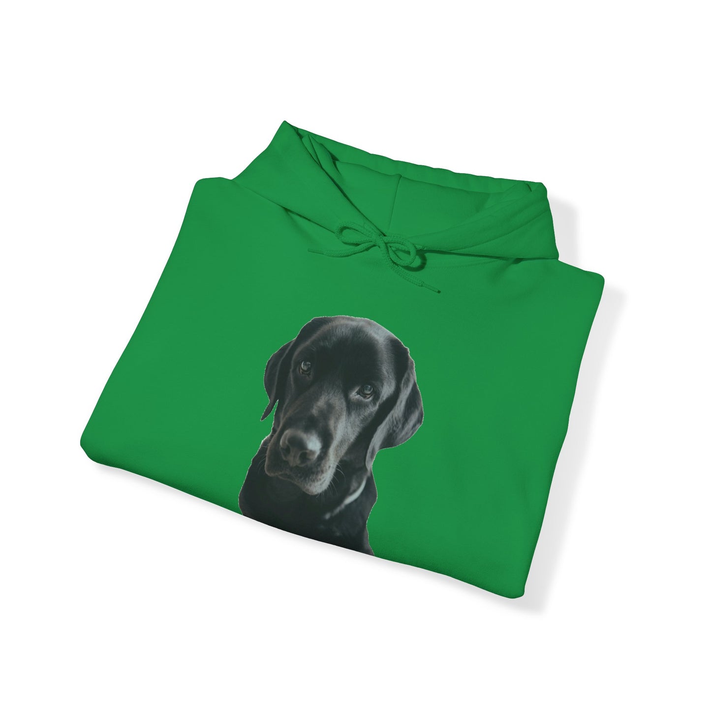 Black Labradors Hooded Sweatshirt