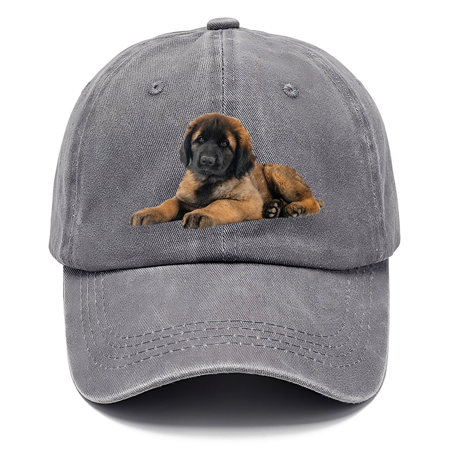 Leonberger Hat