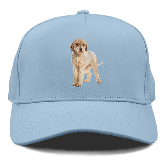 Lagotto Romagnolo Hat