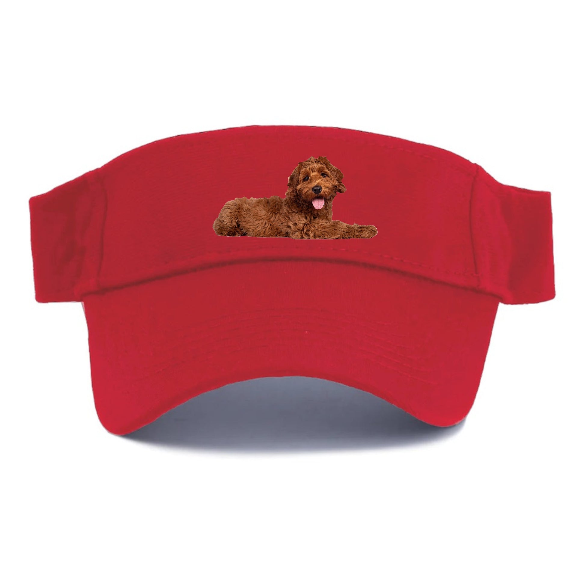 Labradoodle laying down Hat