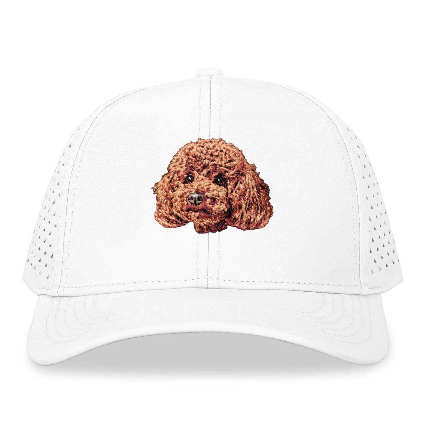 Teddy Bear Dog Hat