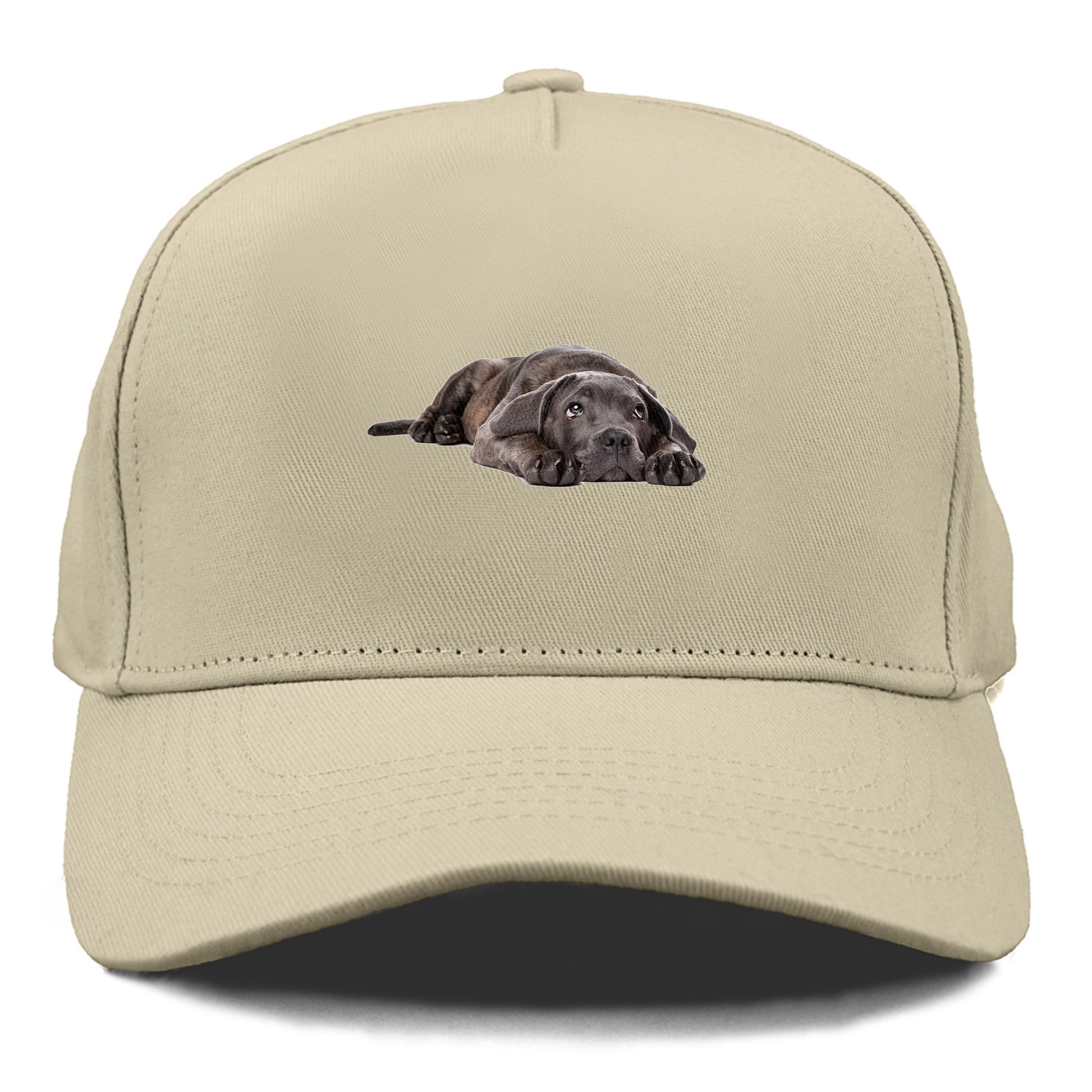 cane corso Hat