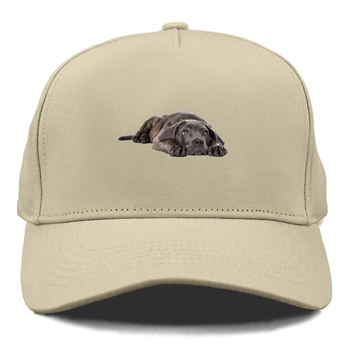 Cane Corso Cap