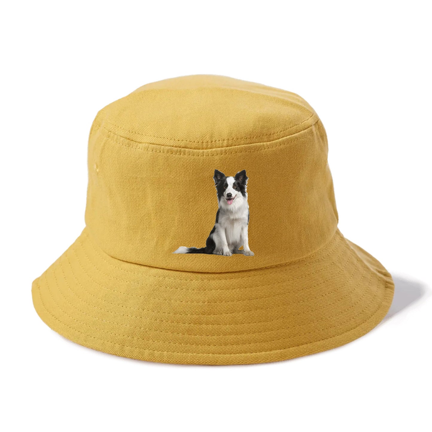 Border Collie Hat